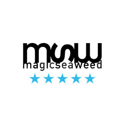 magicseaweed logo